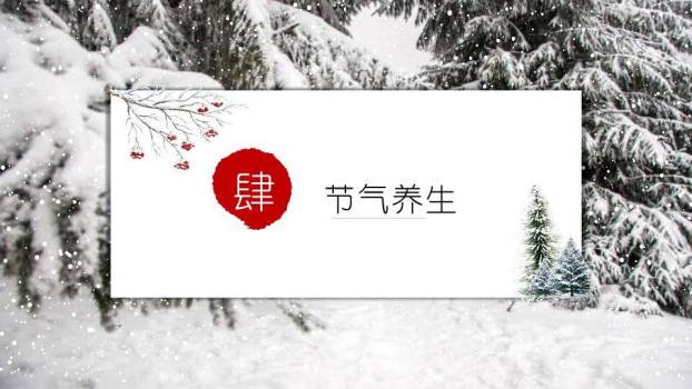 大雪节气雪林墨韵PPT模板9