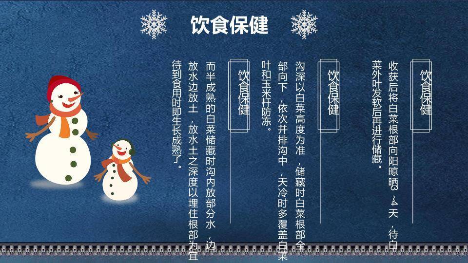 小雪节气深蓝雅韵PPT模板8