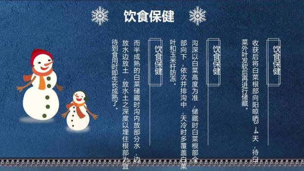小雪节气深蓝雅韵PPT模板8