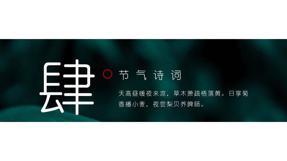 寒露节气露珠静谧PPT模板8