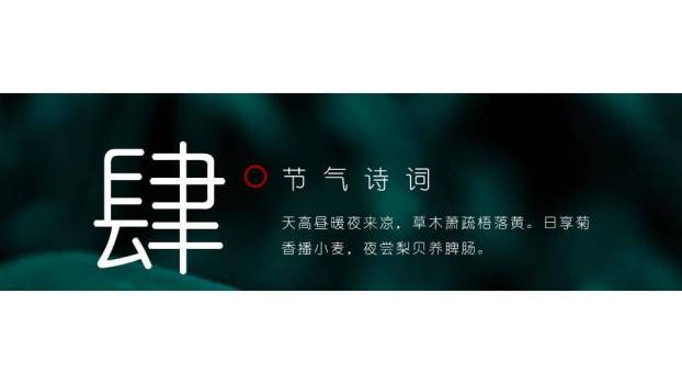 寒露节气露珠静谧PPT模板8