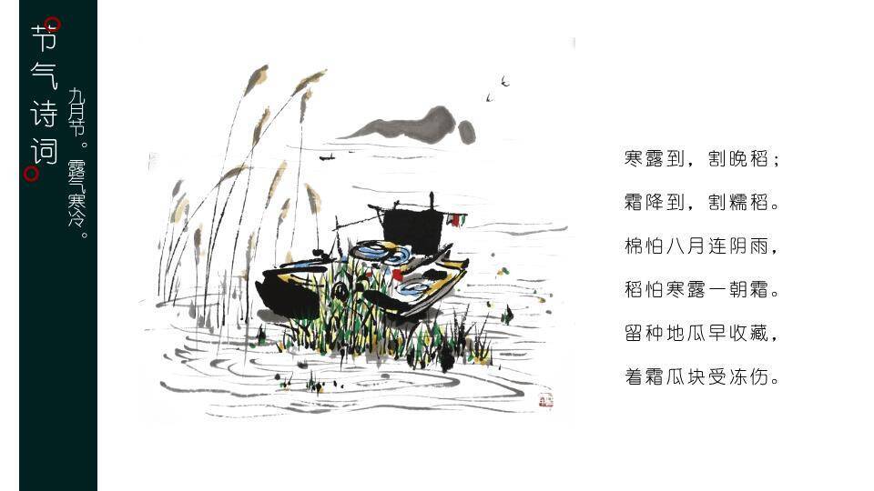 寒露节气露珠静谧PPT模板9