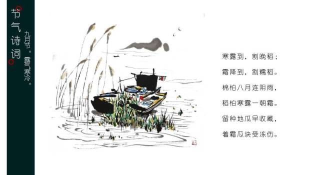 寒露节气露珠静谧PPT模板9