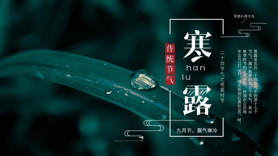 寒露节气露珠静谧PPT模板0