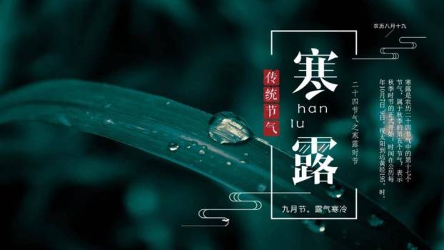 寒露节气露珠静谧PPT模板0