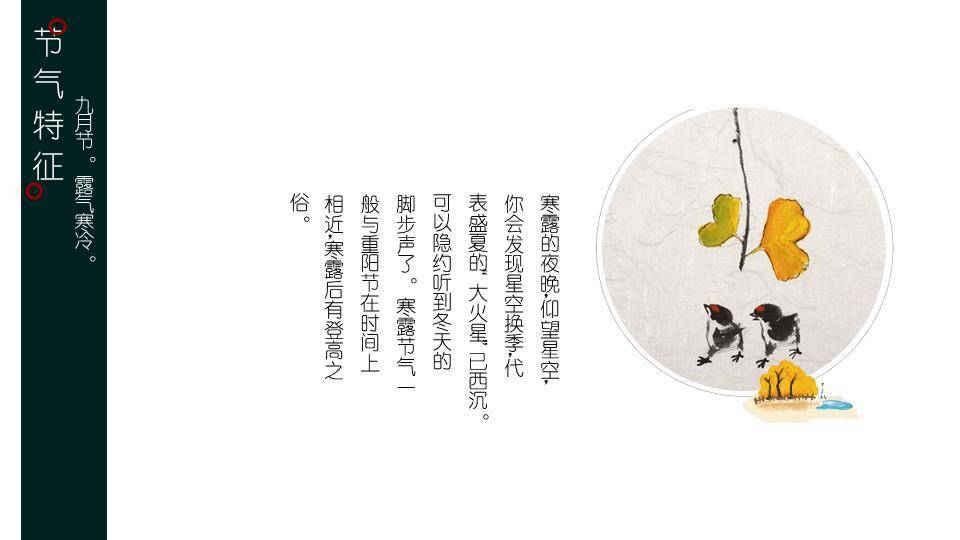 寒露节气露珠静谧PPT模板1