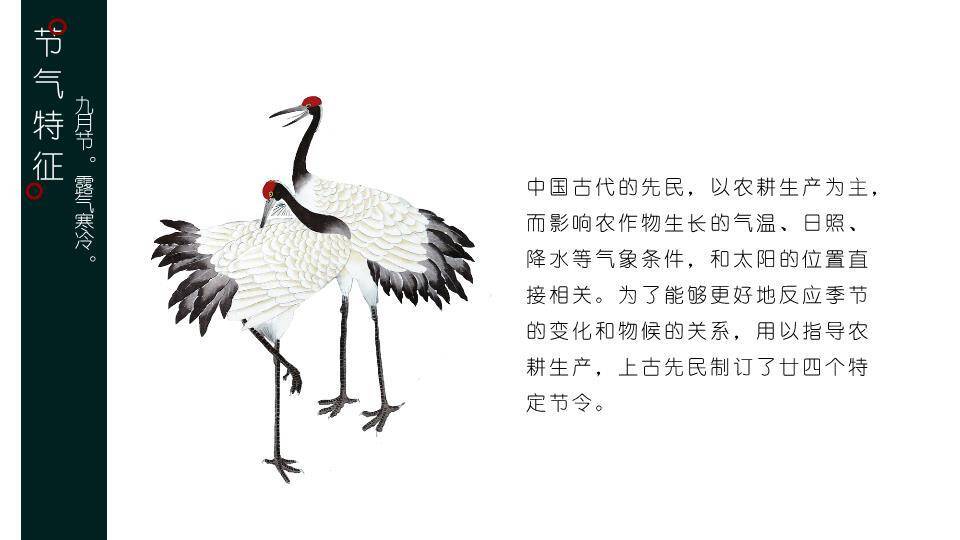 寒露节气露珠静谧PPT模板2