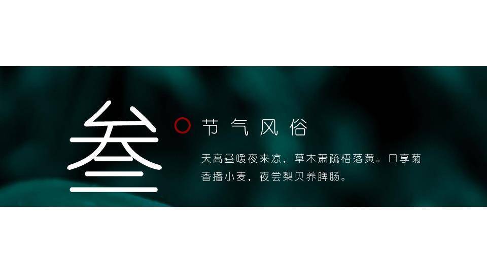 寒露节气露珠静谧PPT模板3