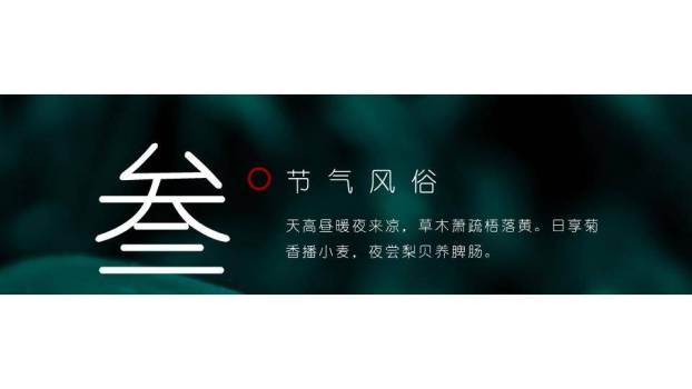 寒露节气露珠静谧PPT模板3