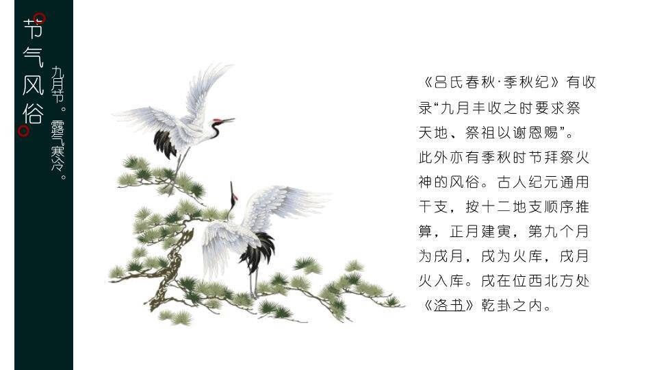 寒露节气露珠静谧PPT模板5