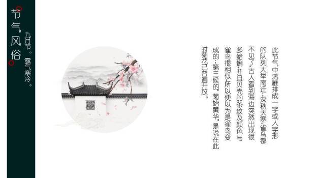 寒露节气露珠静谧PPT模板6