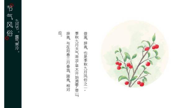 寒露节气露珠静谧PPT模板7