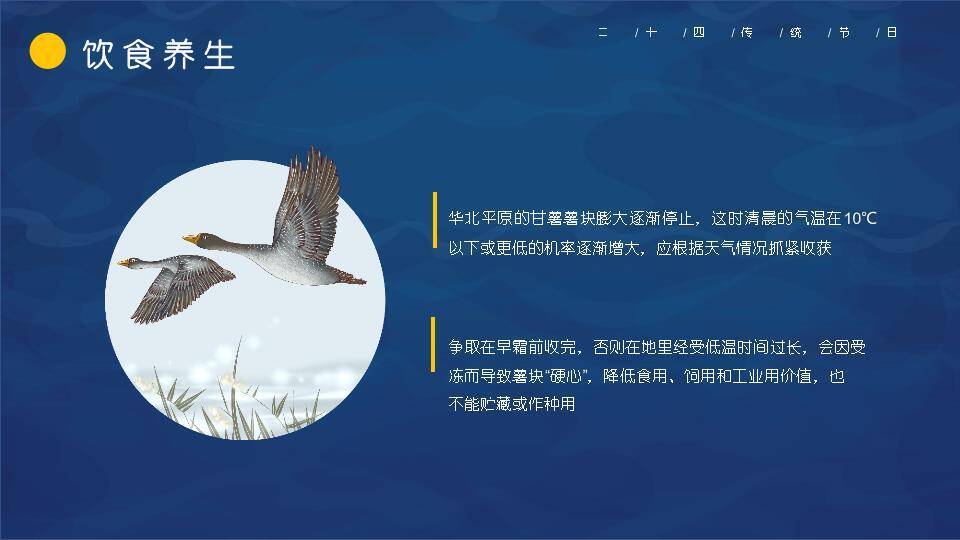 寒露节气仙鹤秋韵PPT模板8