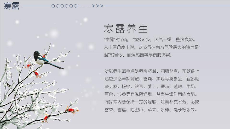 寒露节气雪中鹿影PPT模板8