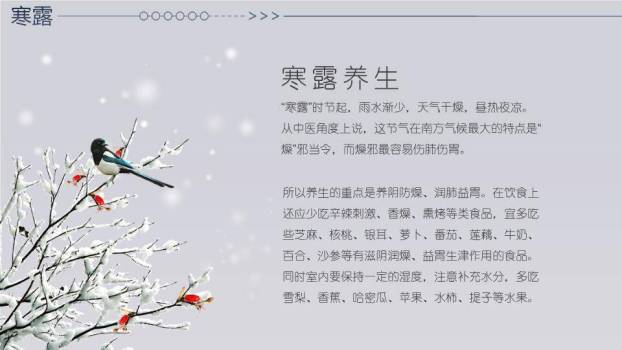 寒露节气雪中鹿影PPT模板8