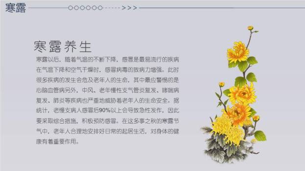 寒露节气雪中鹿影PPT模板9