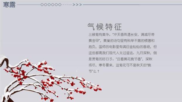 寒露节气雪中鹿影PPT模板2