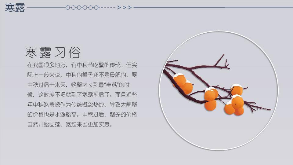 寒露节气雪中鹿影PPT模板4