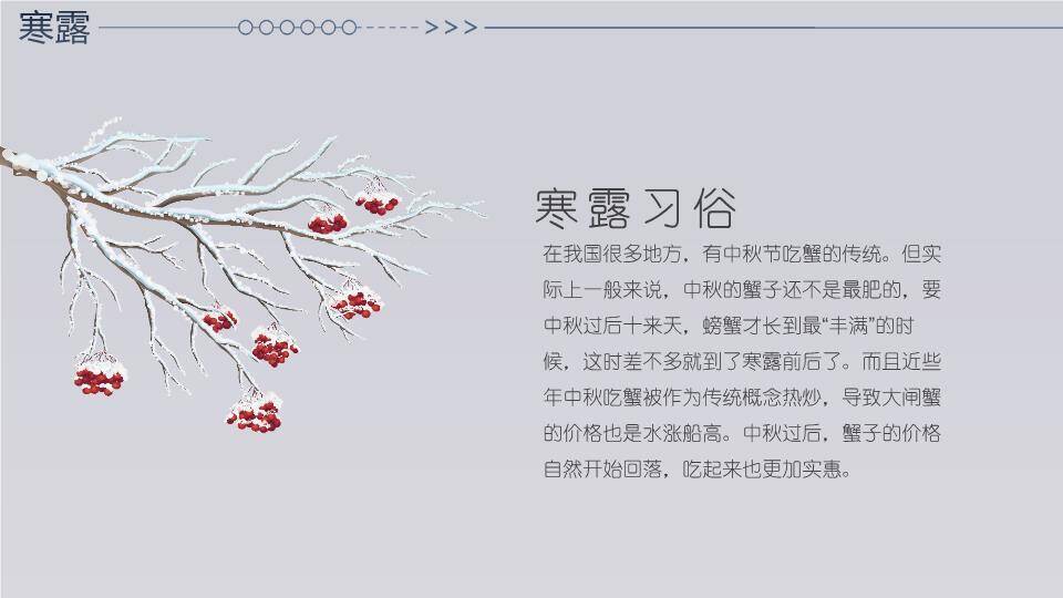 寒露节气雪中鹿影PPT模板5