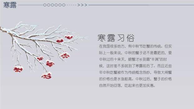 寒露节气雪中鹿影PPT模板5