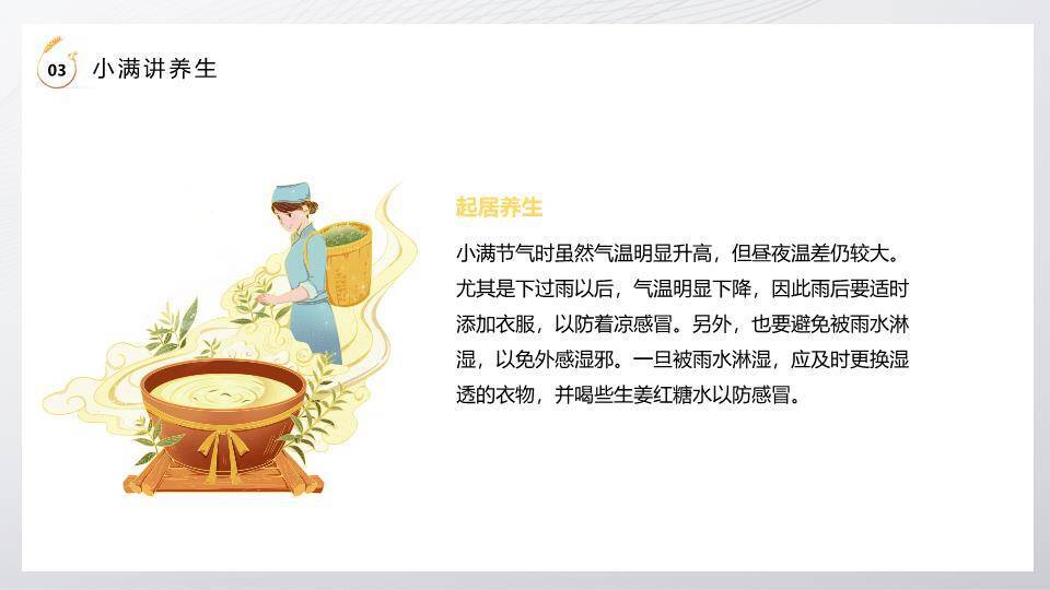 小满节气麦穗金光PPT模板9