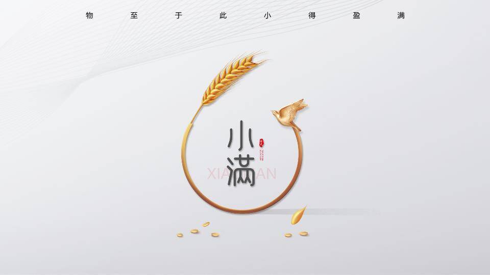 小满节气麦穗金光PPT模板0