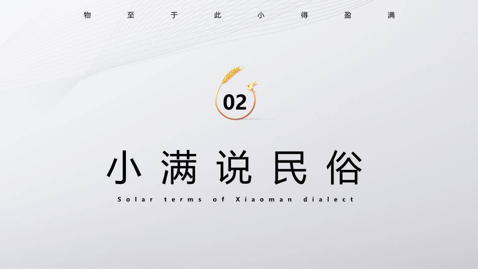 小满节气麦穗金光PPT模板2