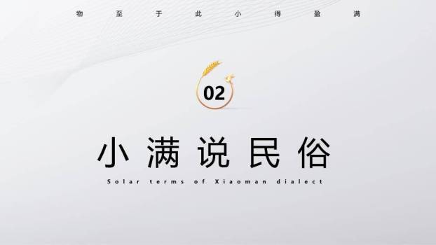 小满节气麦穗金光PPT模板2