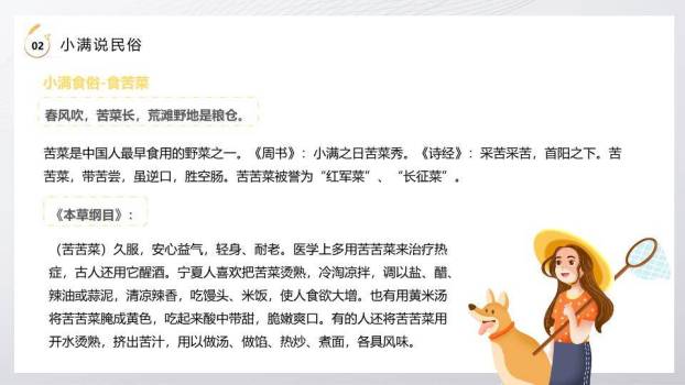 小满节气麦穗金光PPT模板3