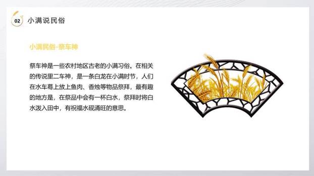 小满节气麦穗金光PPT模板4