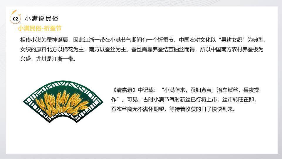 小满节气麦穗金光PPT模板5