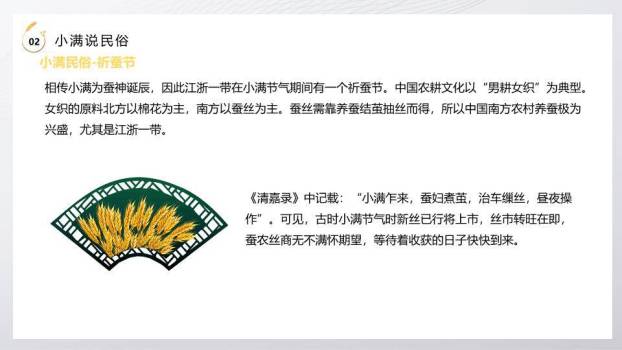 小满节气麦穗金光PPT模板5