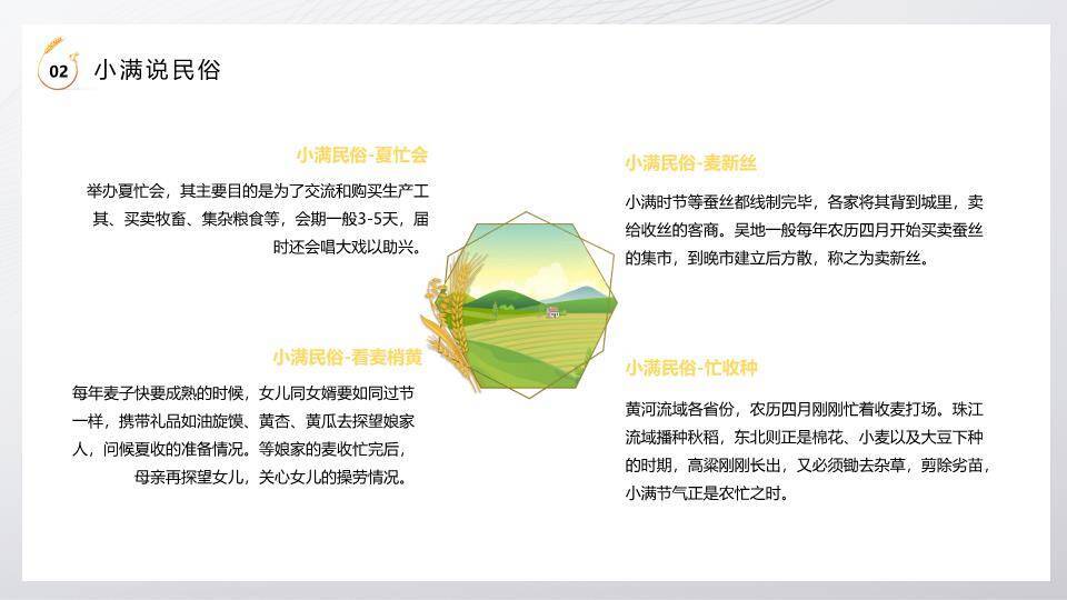 小满节气麦穗金光PPT模板6