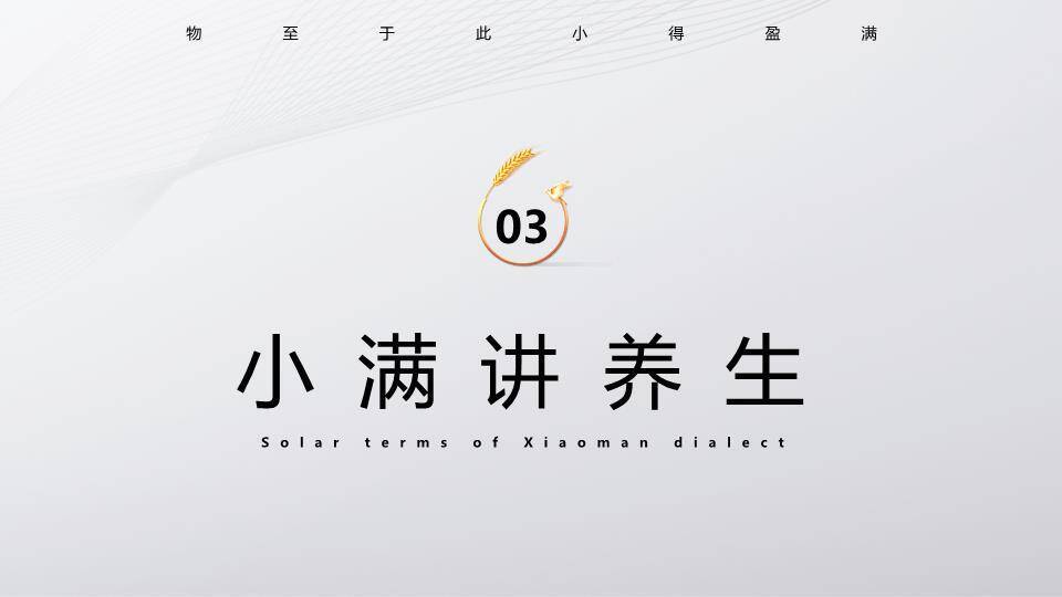 小满节气麦穗金光PPT模板7