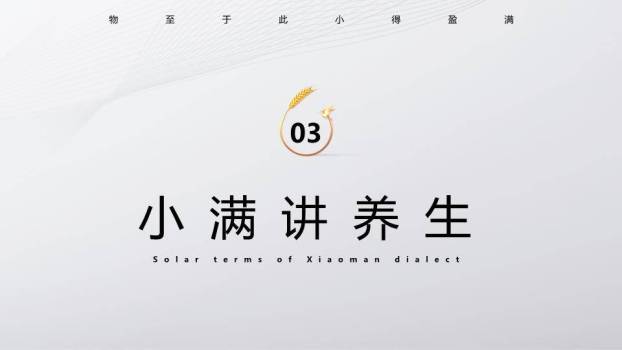 小满节气麦穗金光PPT模板7