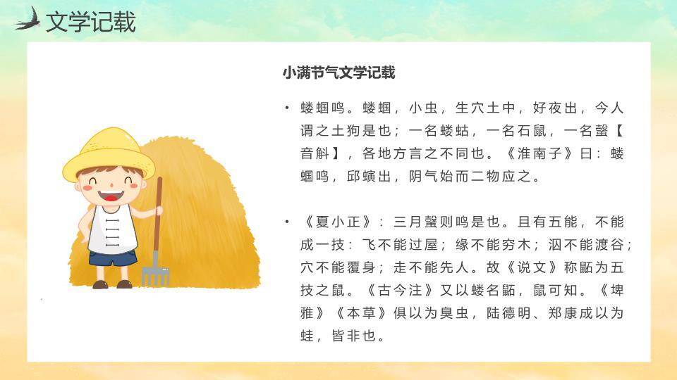 小满节气麦田童趣PPT模板9