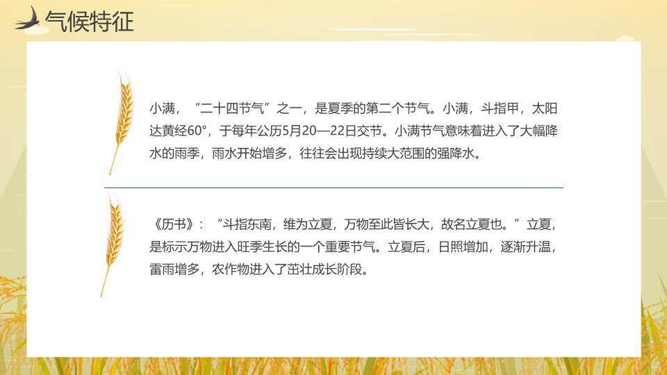 小满节气麦田童趣PPT模板1