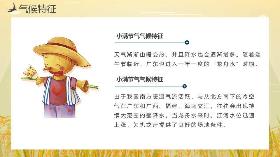 小满节气麦田童趣PPT模板3