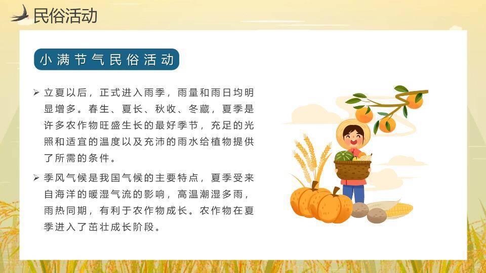 小满节气麦田童趣PPT模板5
