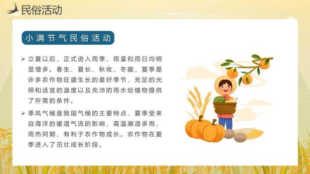 小满节气麦田童趣PPT模板5
