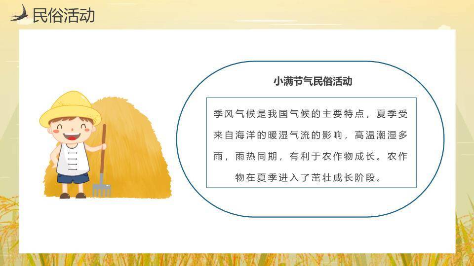 小满节气麦田童趣PPT模板6