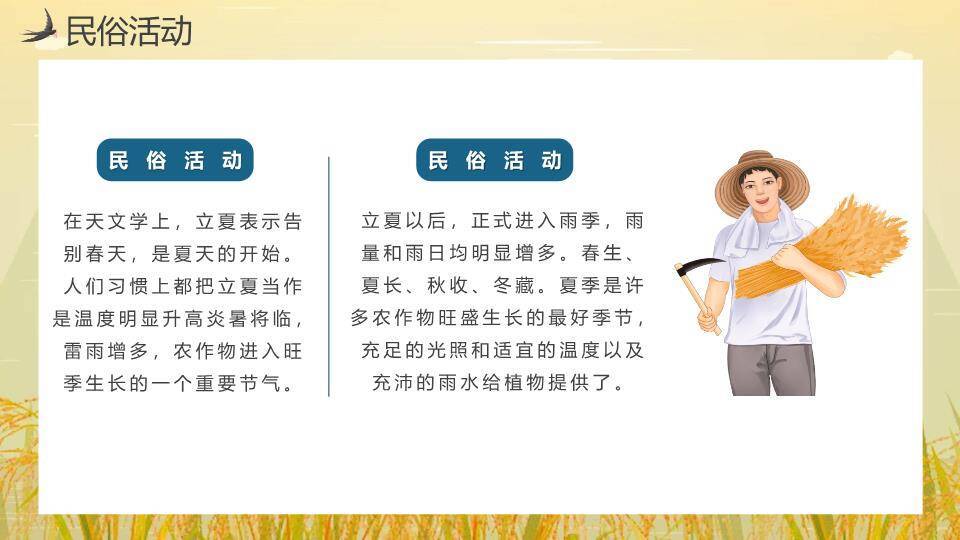 小满节气麦田童趣PPT模板7