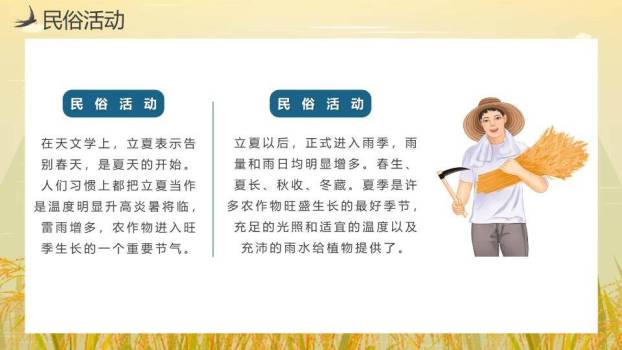 小满节气麦田童趣PPT模板7