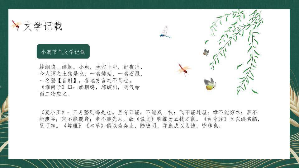 小满节气麦穗雅韵PPT模板8