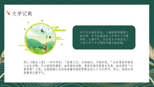 小满节气麦穗雅韵PPT模板9