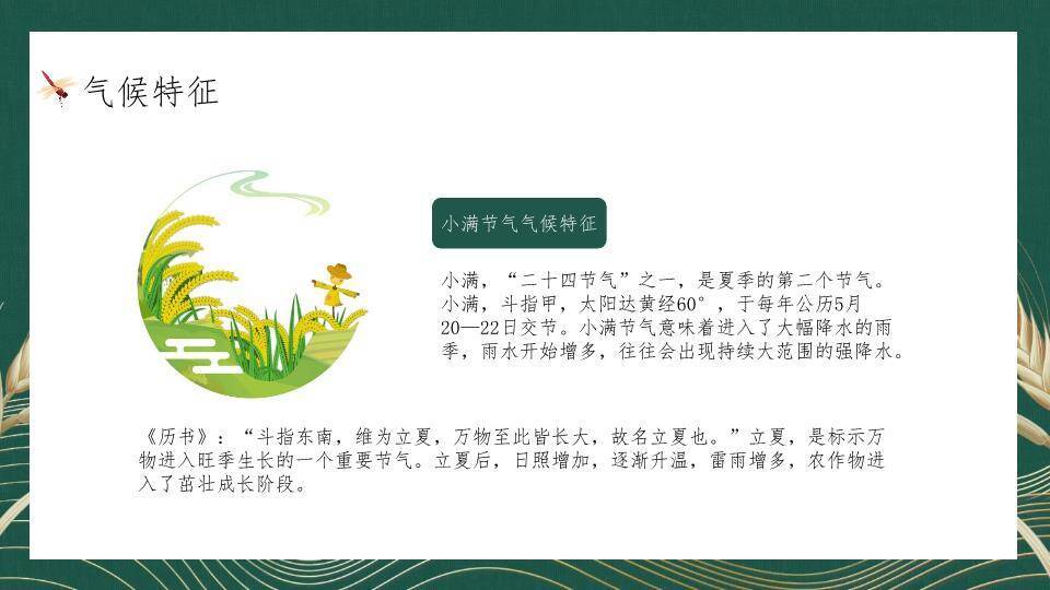 小满节气麦穗雅韵PPT模板1