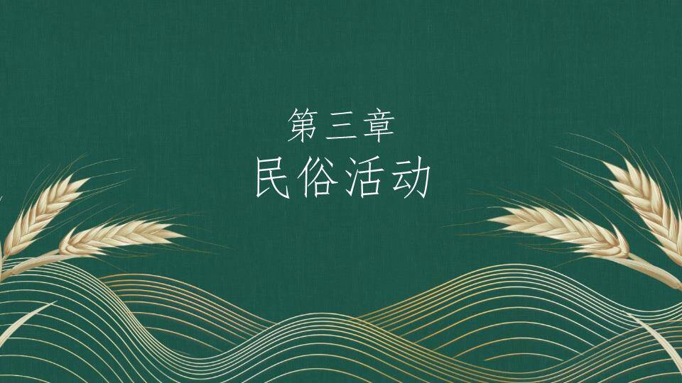 小满节气麦穗雅韵PPT模板3