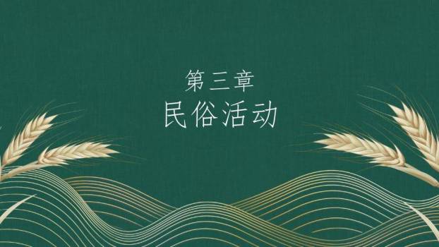 小满节气麦穗雅韵PPT模板3