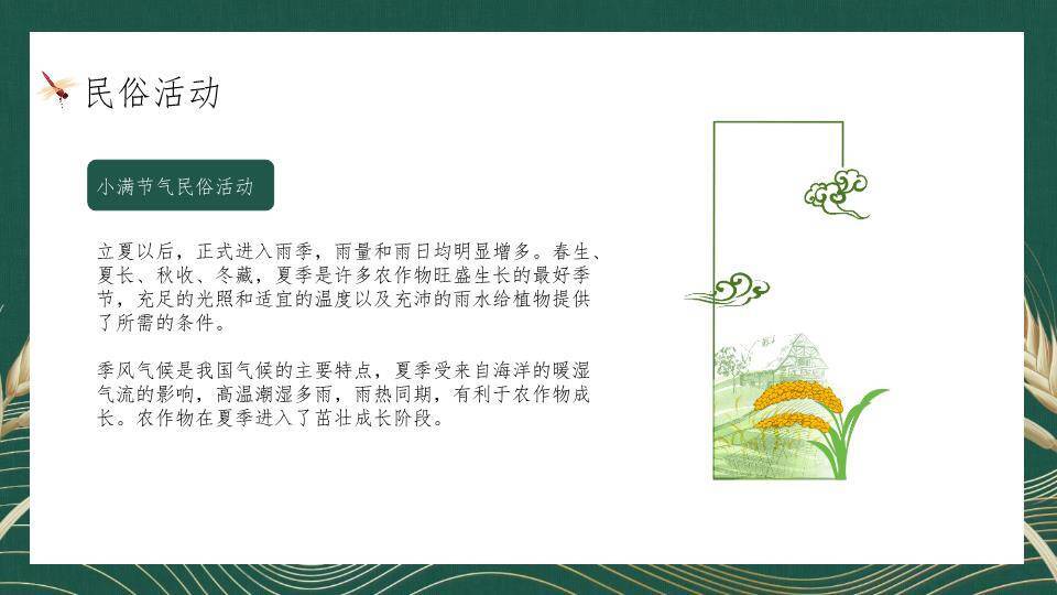 小满节气麦穗雅韵PPT模板4