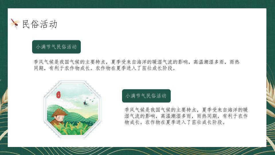 小满节气麦穗雅韵PPT模板5
